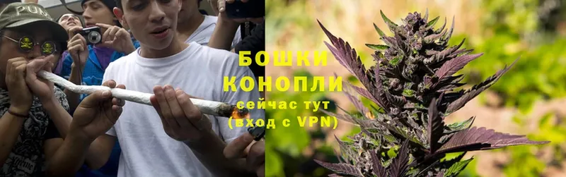 Бошки Шишки OG Kush  Арамиль 